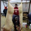 IMG_1451