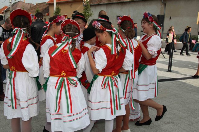 Szüreti Felvonulás 2016