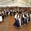 Szüreti Felvonulás 2016
