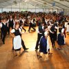 Szüreti Felvonulás 2016
